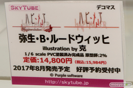「ワンダーフェスティバル 2017［冬］」 アルファマックス/スカイチューブブースレポ21