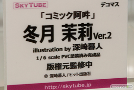 「ワンダーフェスティバル 2017［冬］」 アルファマックス/スカイチューブブースレポ36