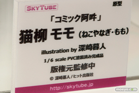 「ワンダーフェスティバル 2017［冬］」 アルファマックス/スカイチューブブースレポ42