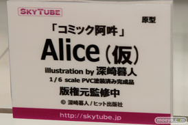 「ワンダーフェスティバル 2017［冬］」 アルファマックス/スカイチューブブースレポ45