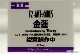 「ワンダーフェスティバル 2017［冬］」 アルファマックス/スカイチューブブースレポ53