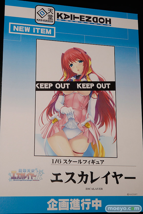 「ワンダーフェスティバル 2017［冬］」 回天堂 レチェリーブースレポ07