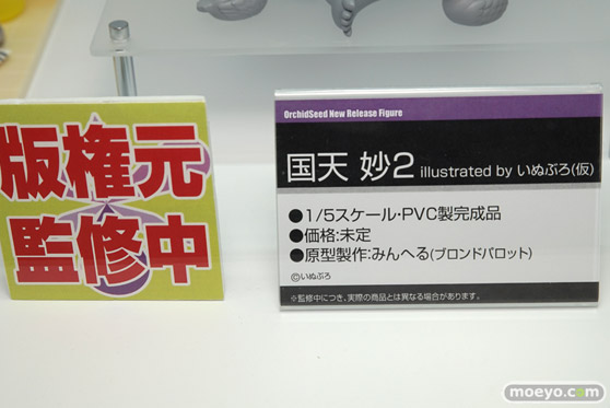 「ワンダーフェスティバル 2017［冬］」 オーキッドシードブースレポ03