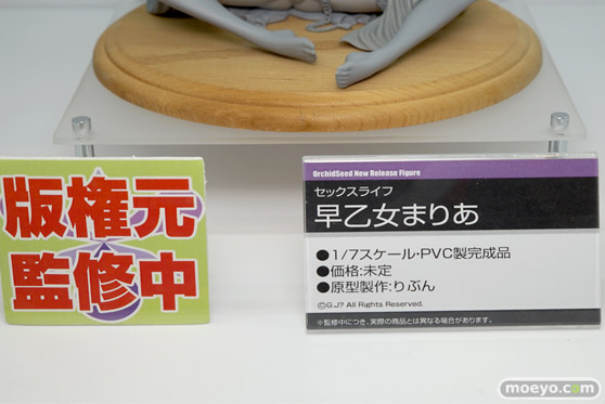 「ワンダーフェスティバル 2017［冬］」 オーキッドシードブースレポ12