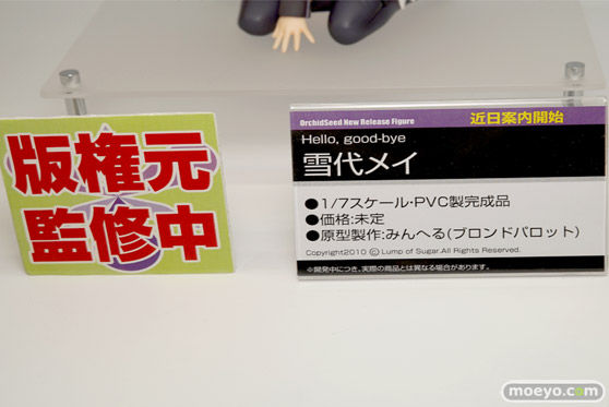「ワンダーフェスティバル 2017［冬］」 オーキッドシードブースレポ15