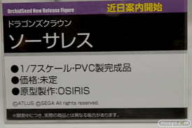 「ワンダーフェスティバル 2017［冬］」 オーキッドシードブースレポ36