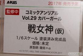 「ワンダーフェスティバル 2017［冬］」 エイプラスブースレポ03