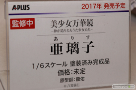 「ワンダーフェスティバル 2017［冬］」 エイプラスブースレポ06