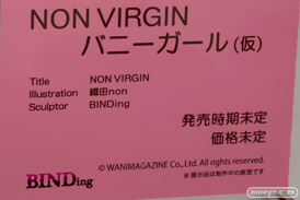 「ワンダーフェスティバル 2017［冬］」 ネイティブブースレポ110