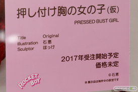 「ワンダーフェスティバル 2017［冬］」 ネイティブブースレポ139