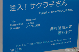 「ワンダーフェスティバル 2017［冬］」 ネイティブブースレポ235