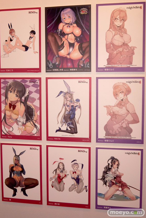 「ワンダーフェスティバル 2017［冬］」 ネイティブブースレポ239