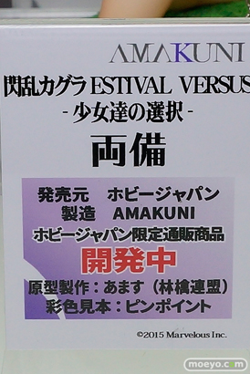 「ワンダーフェスティバル 2017［冬］」 ホビージャパンブースレポ21