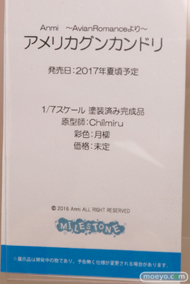 「ワンダーフェスティバル 2017［冬］」 電ホビ/トイズワークスブースレポ12