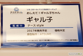 「ワンダーフェスティバル 2017［冬］」 アクアマリンブースレポ02