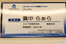 「ワンダーフェスティバル 2017［冬］」 アクアマリンブースレポ06