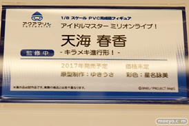 「ワンダーフェスティバル 2017［冬］」 アクアマリンブースレポ12