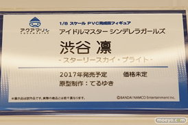 「ワンダーフェスティバル 2017［冬］」 アクアマリンブースレポ18