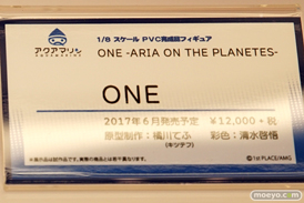「ワンダーフェスティバル 2017［冬］」 アクアマリンブースレポ22