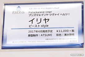 「ワンダーフェスティバル 2017［冬］」 アクアマリンブースレポ26