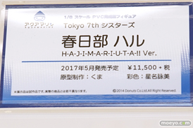 「ワンダーフェスティバル 2017［冬］」 アクアマリンブースレポ28