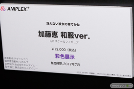 「ワンダーフェスティバル 2017［冬］」 アニプレックスブースレポ04