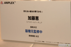 「ワンダーフェスティバル 2017［冬］」 アニプレックスブースレポ09