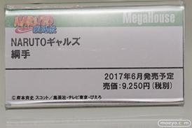 「ワンダーフェスティバル 2017［冬］」 メガハウスブースレポ15