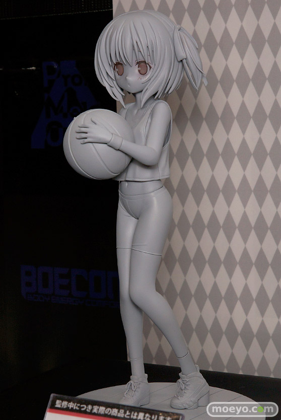 「ワンダーフェスティバル 2017［冬］」 プラムブースレポ03