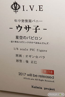 「ワンダーフェスティバル 2017［冬］」 カルミアプロジェクトブースレポ02