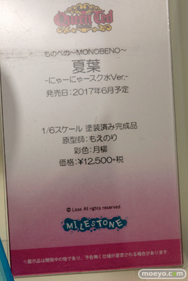 「ワンダーフェスティバル 2017［冬］」マイルストンブースレポ05