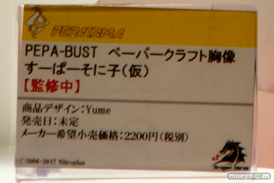 「ワンダーフェスティバル 2017［冬］」マイルストンブースレポ10