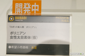 「ワンダーフェスティバル 2017［冬］」マイルストンブースレポ31