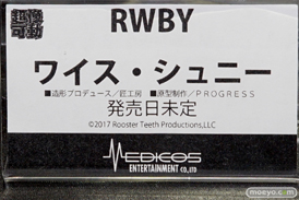 「ワンダーフェスティバル 2017［冬］」メディコスエンタテイメントブースレポ18
