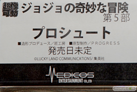 「ワンダーフェスティバル 2017［冬］」メディコスエンタテイメントブースレポ30