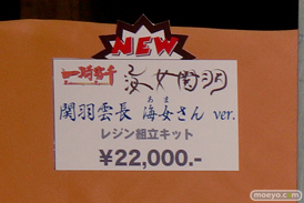 「ワンダーフェスティバル 2017［冬］」アミエ・グランブースレポ10