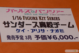 「ワンダーフェスティバル 2017［冬］」アミエ・グランブースレポ12