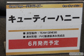 「ワンダーフェスティバル 2017［冬］」グランドトイズブースレポ03