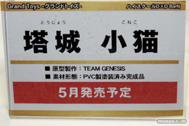 「ワンダーフェスティバル 2017［冬］」グランドトイズブースレポ12