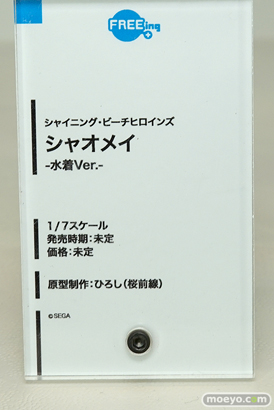 「ワンダーフェスティバル 2017［冬］」フリーイングブースレポ25