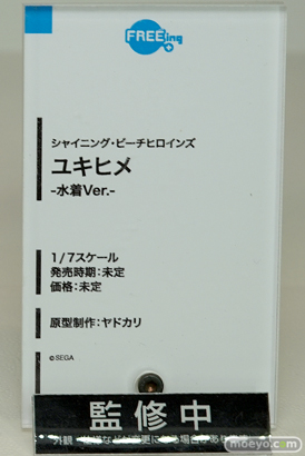 「ワンダーフェスティバル 2017［冬］」フリーイングブースレポ27