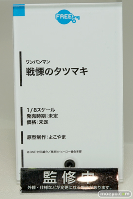 「ワンダーフェスティバル 2017［冬］」フリーイングブースレポ29