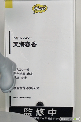 「ワンダーフェスティバル 2017［冬］」ファット・カンパニーブースレポ12