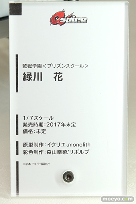 「ワンダーフェスティバル 2017［冬］」双翼社　アスパイア　ファインクローバー　ブースレポ14