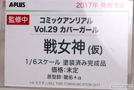 エイプラスのコミックアンリアル Vol.29 カバーガール 戦女神（仮）の新作フィギュア原型画像09
