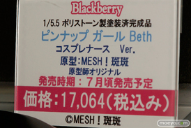 宮沢模型 第39回 商売繁盛セール美少女フィギュア新作レポ　ヴェルテクス　アルファマックス　スカイチューブ　ドラゴントイ　プルーヴィー　ユニオンクリエイティブ　アイズ　ブラックベリー　クルシマ製作所36