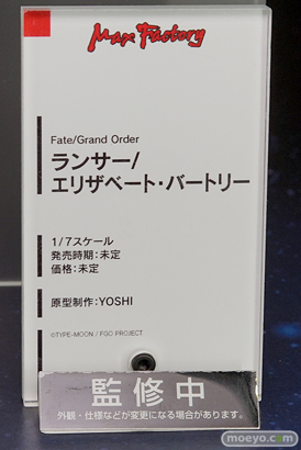 マックスファクトリーのFate/Grand Order ランサー/エリザベート・バートリーの新作フィギュア原型画像11