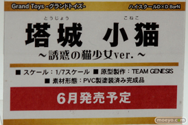 トレジャーフェスタin有明17のグランドトイズブース展示新作フィギュア画像24