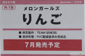 トレジャーフェスタin有明17の美少女大陸ブース展示新作フィギュア画像12