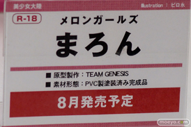 トレジャーフェスタin有明17の美少女大陸ブース展示新作フィギュア画像14